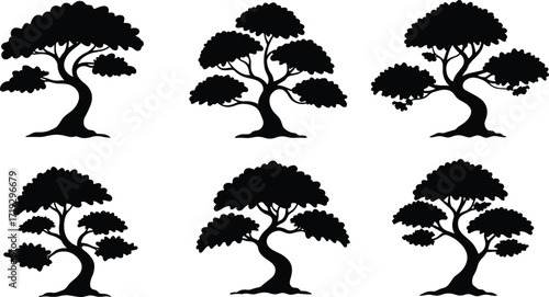 Tree silhouettes collection, natural illustration, forest design, canopy artwork, woodland outline, seasonal foliage, botanical drawing, landscape scene, artistic nature, foliage pattern