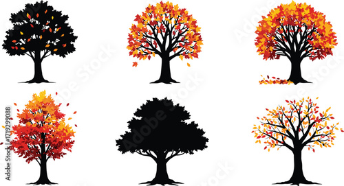 Autumn tree silhouettes, fall foliage, seasonal leaves, deciduous forest, nature illustration, woodland design, botanical artwork, landscape scene, harvest theme, seasonal change