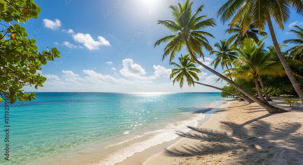 Obraz premium Idyllic tropical beach scene with swaying palm trees, clear turquoise water, and bright sunshine.