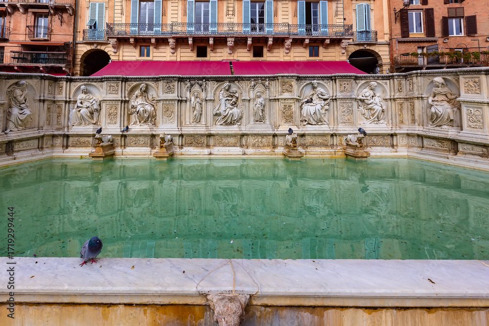 Naklejka premium Fountain in Siena, Italy