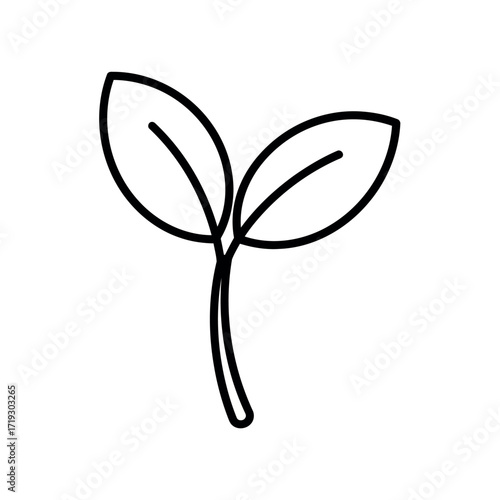 Vector illustration of simple line drawing of a young plant sprout with two leaves