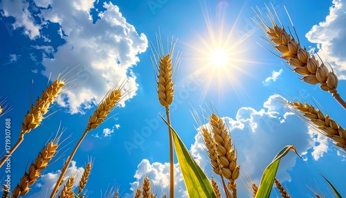 Golden wheat field under a vibrant sky (1)