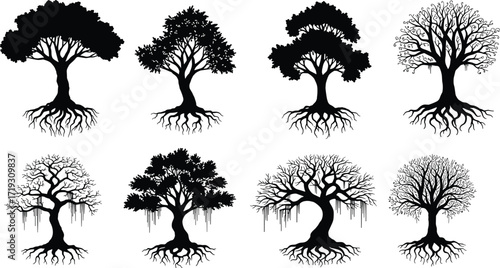 Tree silhouettes with roots, forest illustration, natural design, bare branches, canopy artwork, woodland nature, botanical outline, seasonal landscape, artistic foliage, root detail