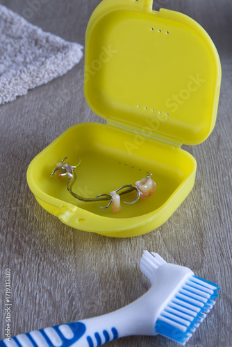 Dental prosthesis cleaning accessories for cleaning dental prostheses