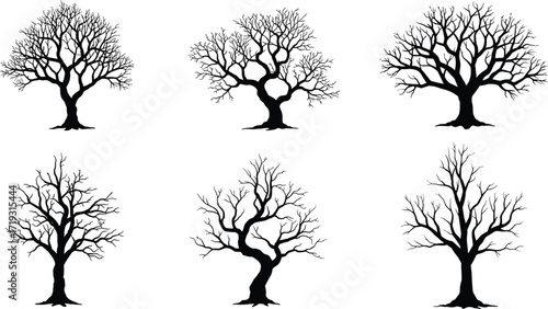 Leafless tree silhouettes, winter forest, bare branches, seasonal nature, black outline, woodland design, natural illustration, eerie landscape, artistic foliage, barren trees