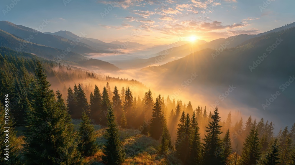 Fototapeta premium Golden Sunrise Over Misty Mountains: Majestic mountains rise from a sea of mist, kissed by the first rays of dawn, creating a serene and breathtaking landscape.