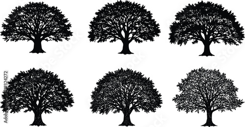 Tree silhouette vector set, leafy tree clipart, black tree illustration, natural forest element, isolated oak trees, nature design collection