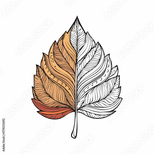 Half-color half-outline birch leaf for coloring activities isolated on white.