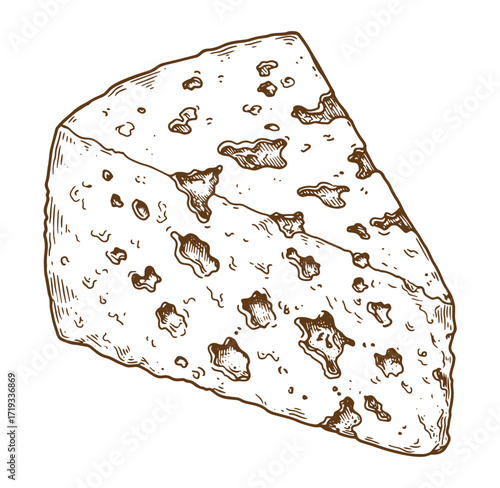 Vintage cheese illustration a hand drawn wedge of aged delicious dairy product isolated