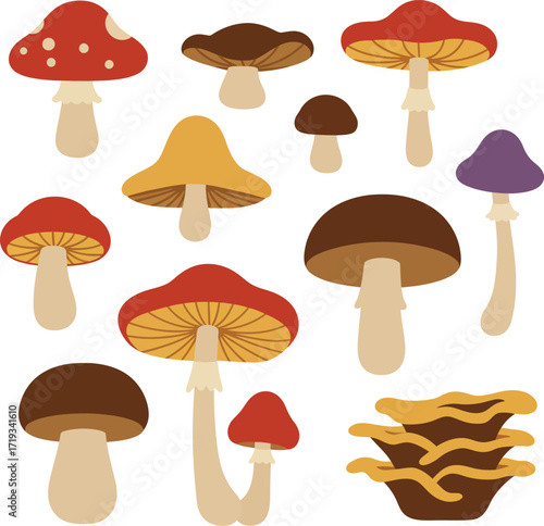 Minimalist Flat Style Mushroom Collection with Different Colors and Shapes Illustration
