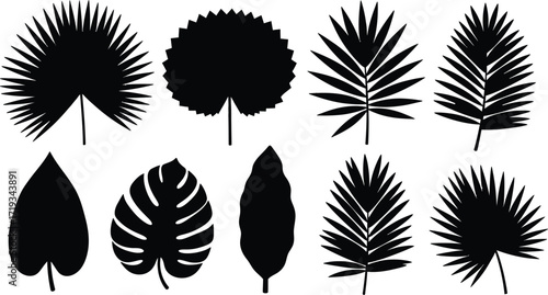 Collection of various stylized black silhouette leaves, including palm fronds and tropical foliage, arranged on a white background.