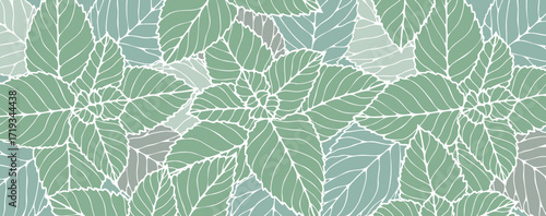 Mint leaves botanical vector abstract background for wallpaper, cover or banner.