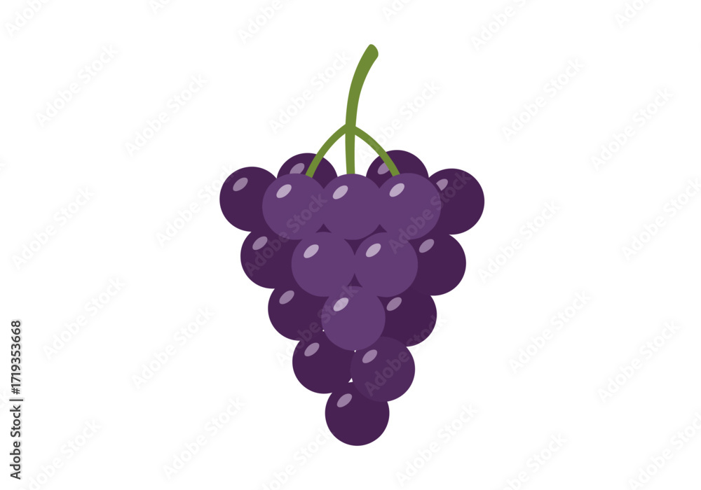 Fototapeta premium A cluster of dark purple grapes hangs with a vibrant green stem