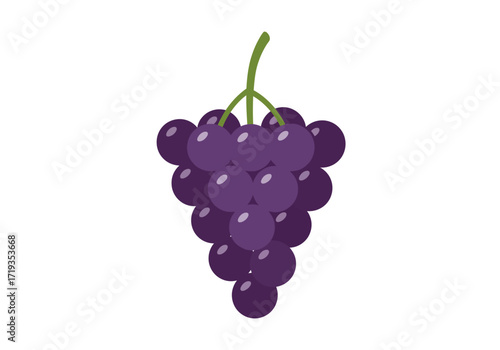A cluster of dark purple grapes hangs with a vibrant green stem