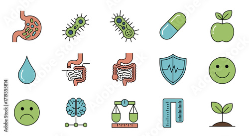Health and Wellness Icons Representing Digestion Immunity Brain Health and Growth.