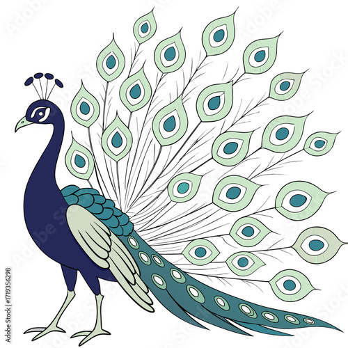 Vector art of stylish peacock illustration, featuring a sophisticated color palette and a poised demeanor, perfect for adding a touch of class and refinement to any visual project