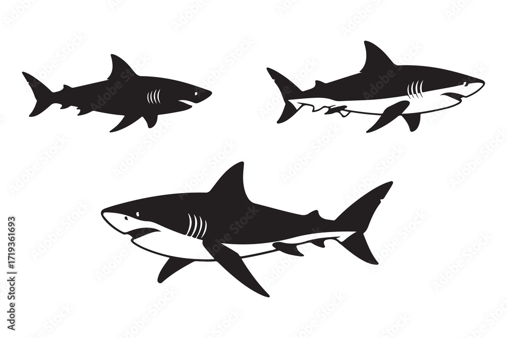 Fototapeta premium Shark silhouette vector animal black set design.eps