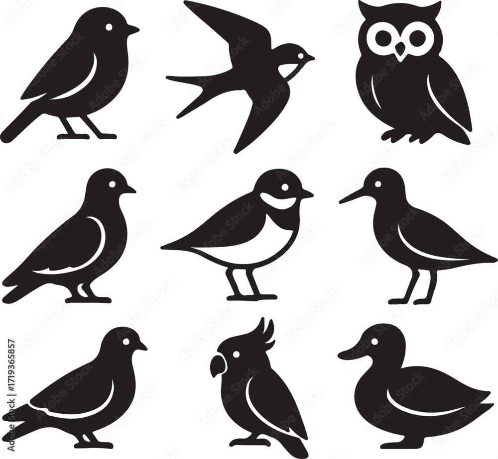 Naklejka premium A vector cartoon illustration set of funny birds with a cute robin and owl
