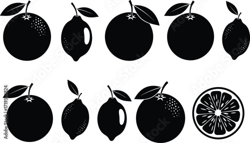 Black and white citrus fruit silhouettes, orange lemon vector icons, tropical fruit illustration, healthy food clipart, botanical artwork, citrus design elements