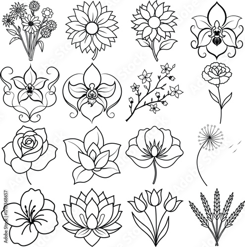 Collection of delicate floral line drawings silhouette