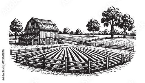 barn farm scene engraving vector style