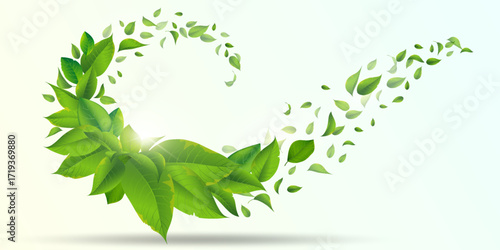 Fresh green foliage swirl, spring and summer leaves composition