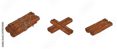 A set hand-drawn of cinnamon sticks. Vector
