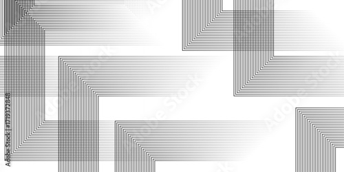 Geometric diagonal oblique vector curve gradient black and white graphic stripe line. Repeated fine diagonal lines Thin slash line stripes diagonal vector elegant background	