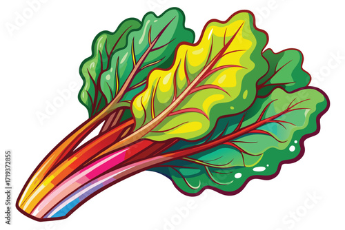 Vivid rainbow chard displays colorful stalks and wavy green leaves against a white backdrop