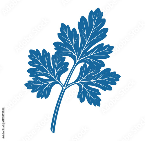 Blue parsley leaf vector illustration isolated on white background for culinary and botanical concepts