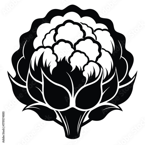 Elegant black and white silhouette showcases a detailed cauliflower vegetable with stylized leaves