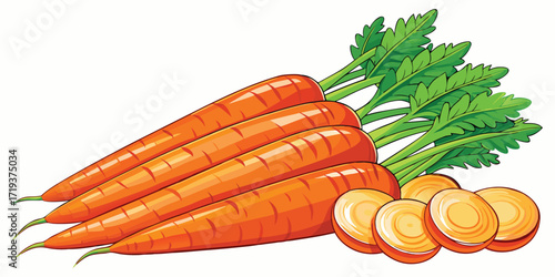 Fresh orange carrots and round carrot slices are displayed against a white backdrop