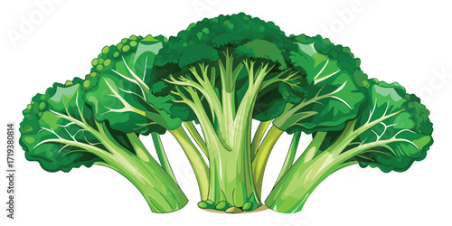 Fresh green broccoli florets sit together displaying their vibrant color and unique texture