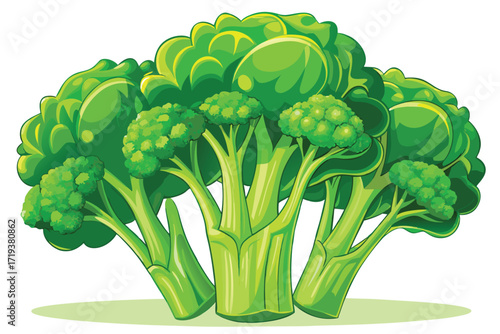 Fresh cartoon broccoli with detailed florets and bright green stems stands on a surface