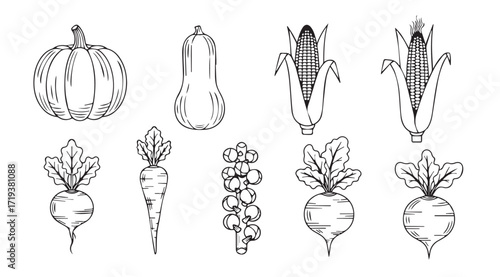 Collection of hand drawn vegetable silhouettes including pumpkin corn and carrots