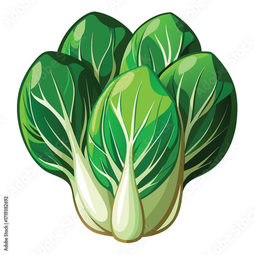 Five vibrant bok choy vegetables display their crisp green leaves in a cluster arrangement