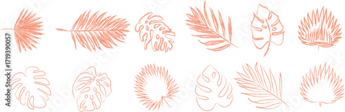 Collection of Delicate Coral Colored Tropical Leaves Isolated on a White Background,doodle hand draw vector