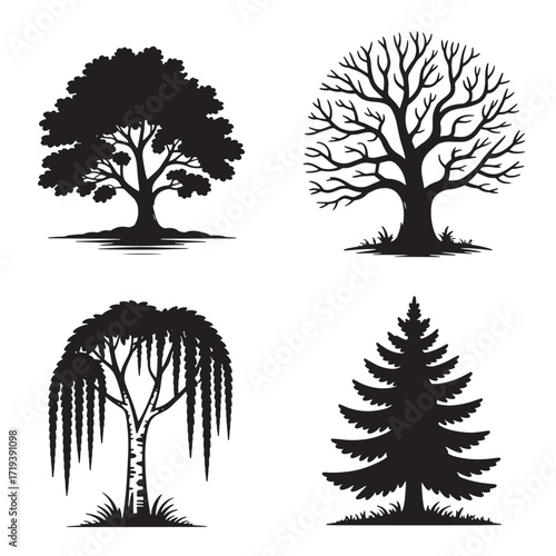 Four black silhouette illustrations of different types of trees Keywords: tree silhouette, oak tree, bare tree, weeping willow, pine tree