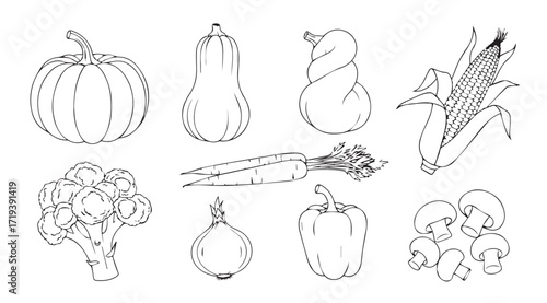 Collection of hand drawn vegetable silhouettes including pumpkin corn and broccoli