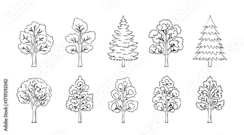 Collection of hand drawn tree silhouettes in sketchy outline style