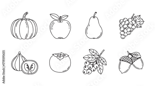 Collection of hand drawn fruit and vegetable silhouettes for autumn harvest