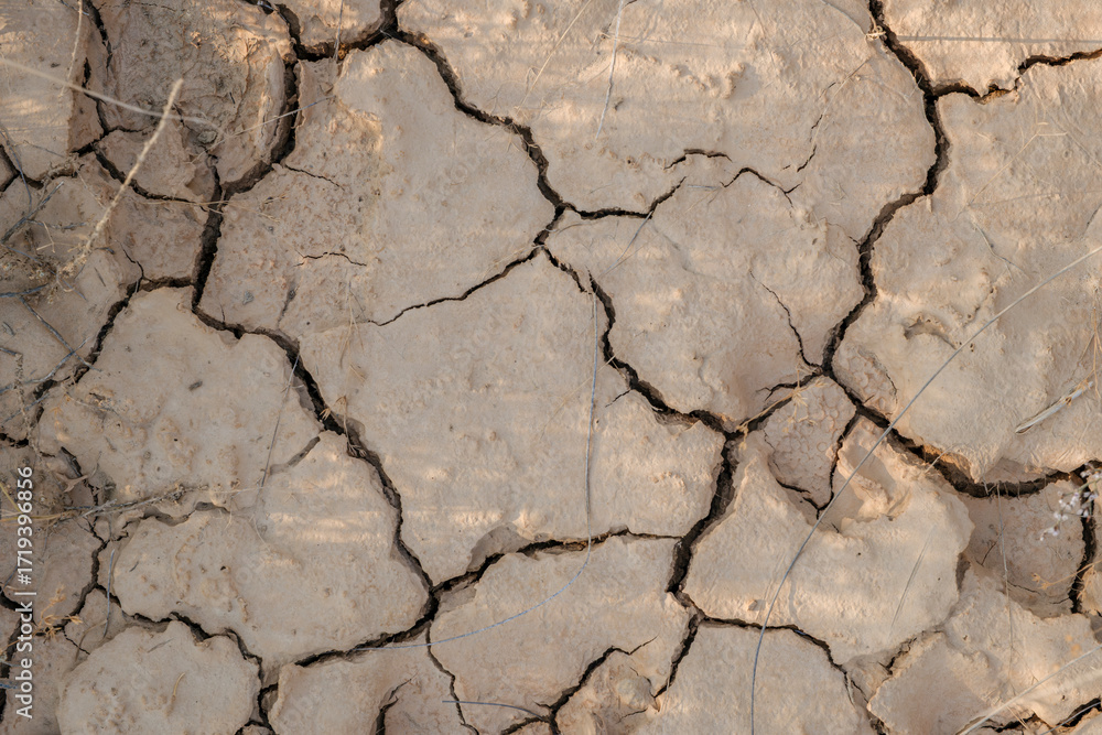 Fototapeta premium Cracked Dry Earth in a Desert Landscape Showing Severe Drought Conditions. Polygonal Soil Patterns, Climate Change Impact, Arid Environment, Warming