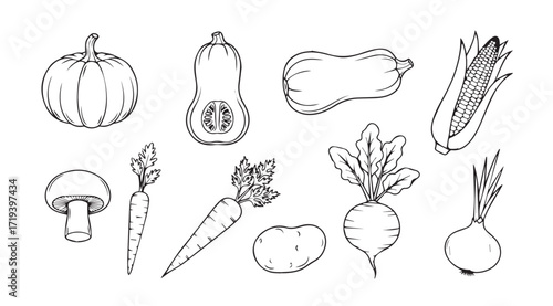 A hand drawn silhouette collection of fresh autumn vegetables and roots