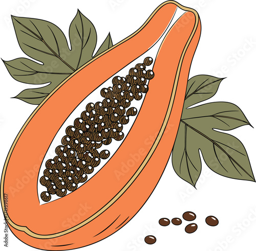 Vector drawing of olive oil, coffee beans, and healthy orange carrots