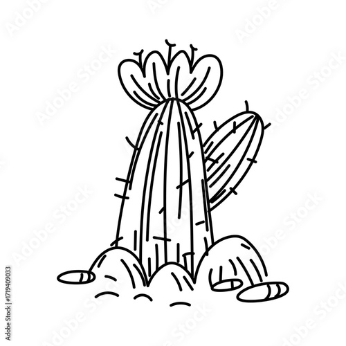 Cactus in bloom, desert plant in doodle style. Prickly vertical plant with flower in ground with rocks. Divided branches, desert drink. Prickly beautiful plant. Engraving, graphics, shading.