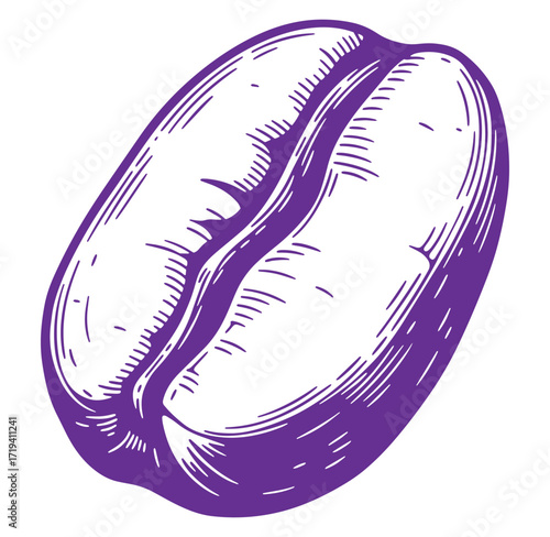 Detailed purple coffee bean illustration with engraved style perfect for cafe branding and design