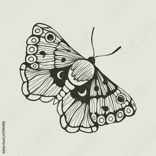 Gothic vector illustration of moth. Hand drawn vintage butterfly with celestial magic and witchcraft symbols. Retro monochrome insect sketch for tattoo or print. Occult entomology element isolated