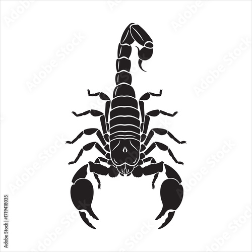 A detailed black silhouette of a scorpion with its tail raised and claws open against a white background