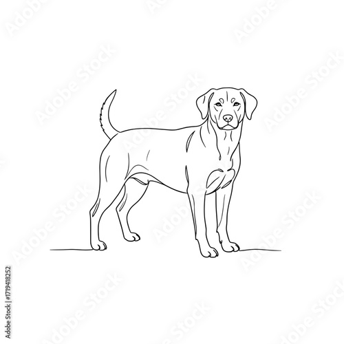Outline of a standing dog with a wagging tail on a transparent background 