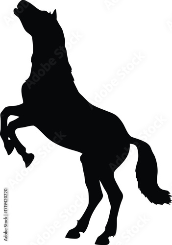Silhouette of a rearing horse on a white background